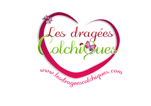 dragées pour mariage bapteme location voiture mariage